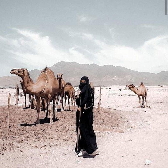 resvitta shazfa nadia profile icon