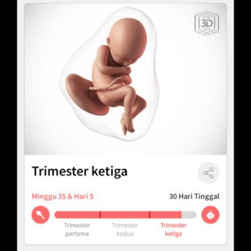 fazidah profile icon