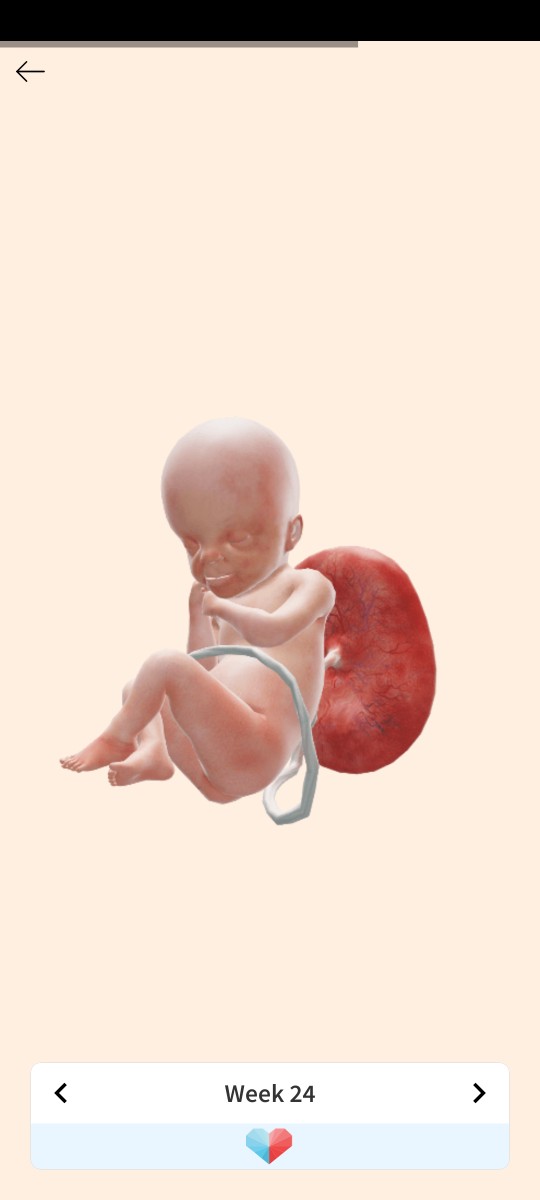 Coneycolene Rivera Almolanida profile icon