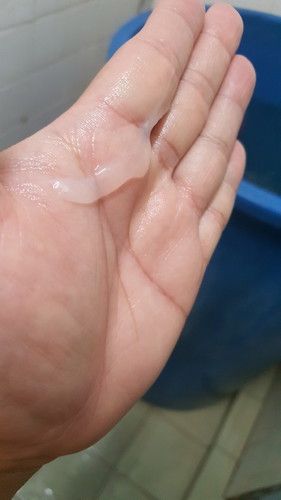 cecair putih