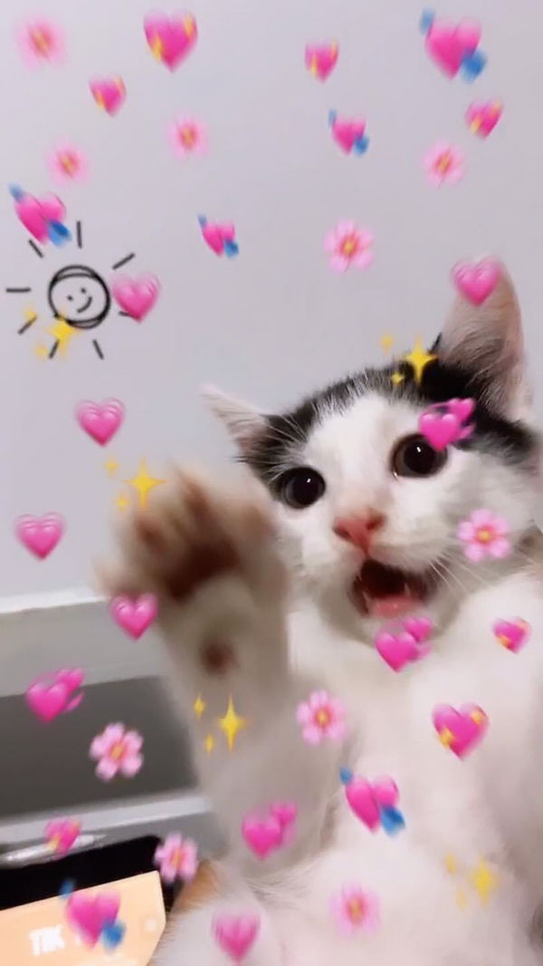 อมราภรณ์ profile icon