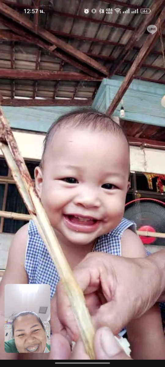 Siri Love profile icon