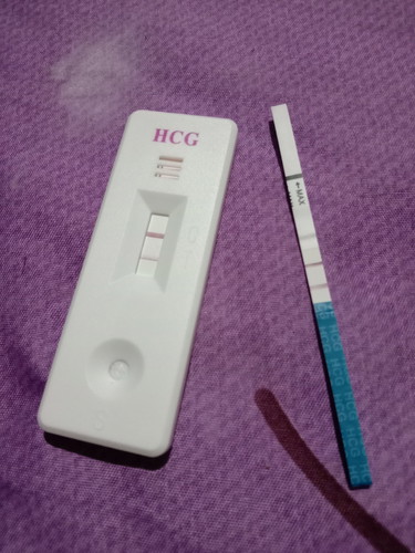 Pregnant test