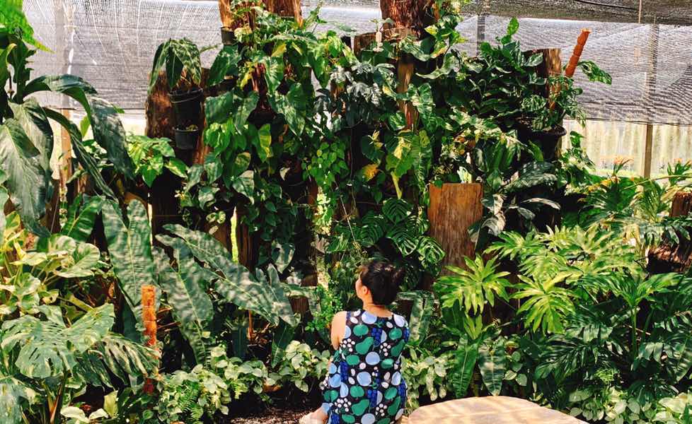 piyarat montreewong profile icon