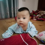 Nguyễn Thảo profile icon