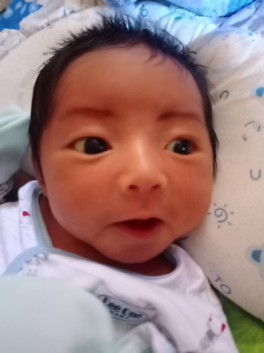 คลอดเอง