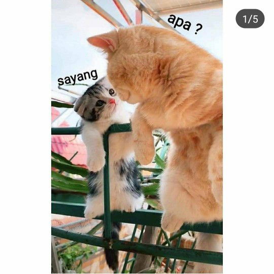 sri dayanti profile icon