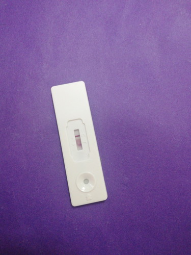 Pregnancy Test
