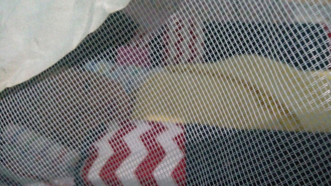 gagagaga profile icon