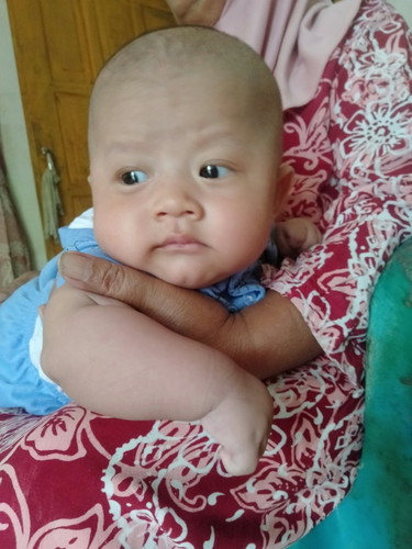 seputar bayi