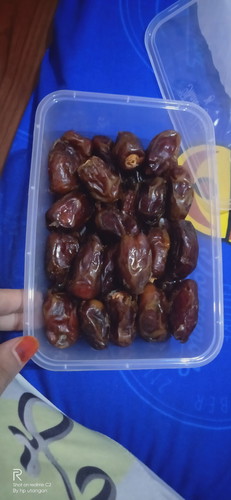 kurma