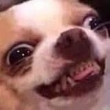 มูมู่ profile icon