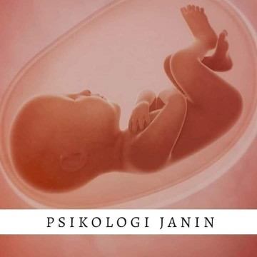 PSIKOLOGI JANIN