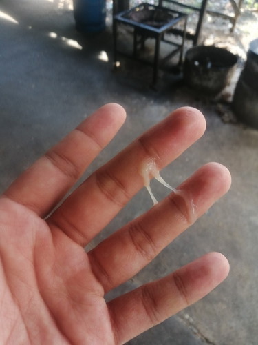 มูกหรือตกขาวคะ