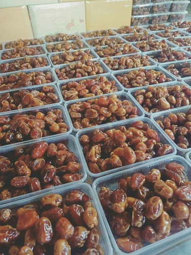 อินทผาลัมสายพันธุ์ คาลาส