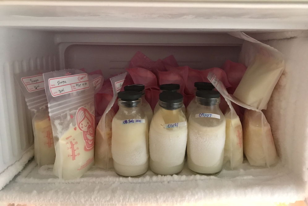 Posisi Simpan Asip di Freezer