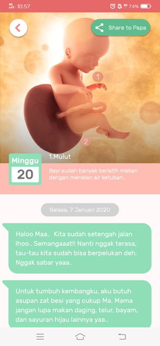 kehamilan