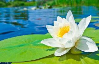 Casmi ATD profile icon