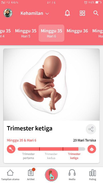 35w6d