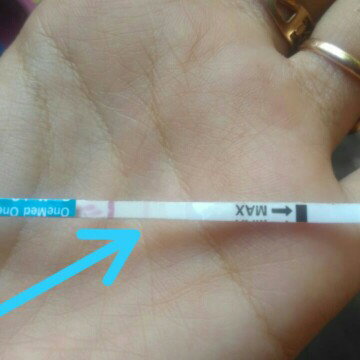 tespek samar