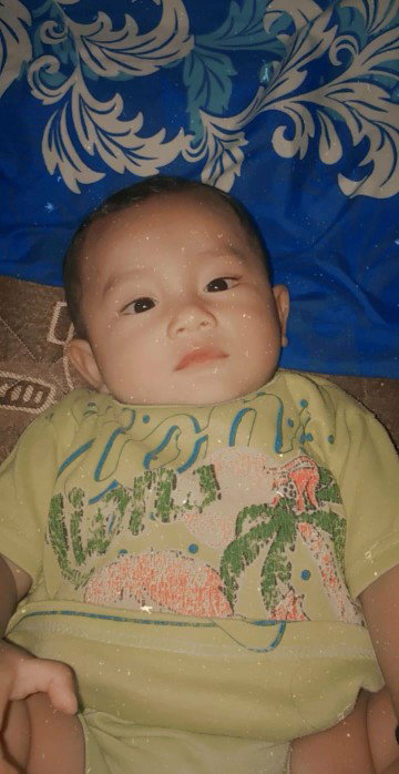 reni alpionita profile icon