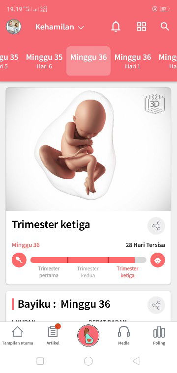 36week