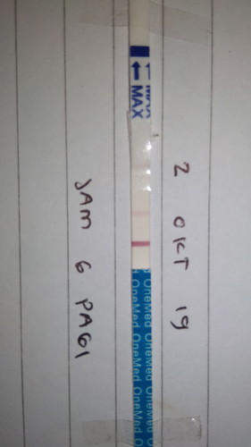 makan dan minuman bagi ibu hamil?