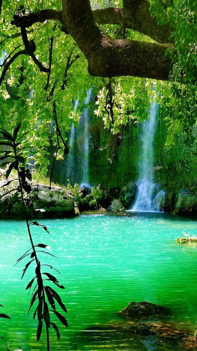 Jennifer Nuevas profile icon