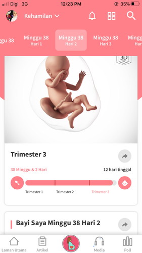 38week 2hari