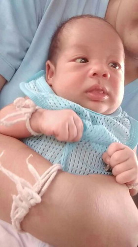 กี่เดือนถึงจะมองเห็น