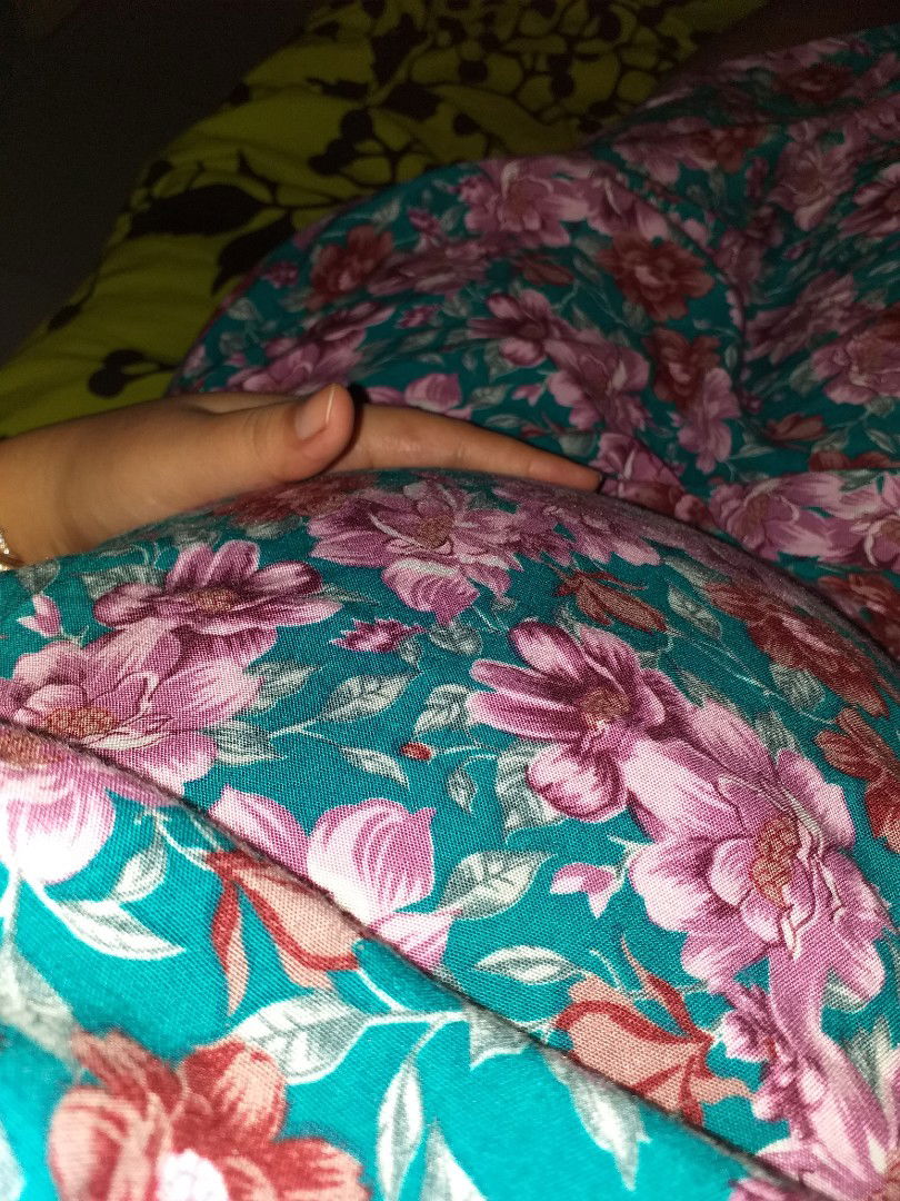 lagi pengen tiduran terus