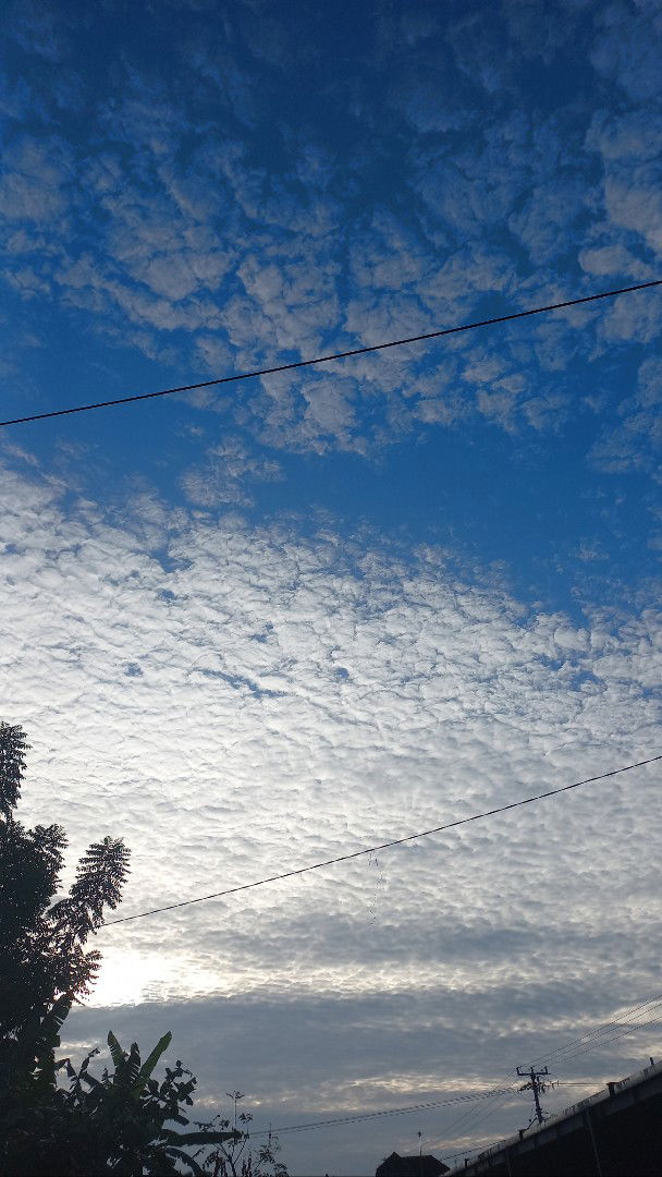 day_padma profile icon