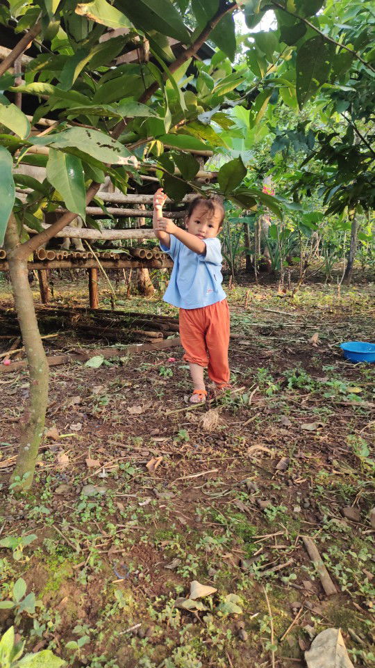 Mega hana profile icon