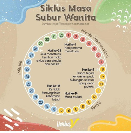 siklus masa subur wanita