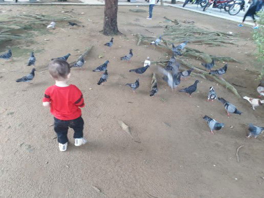 anasrahim profile icon