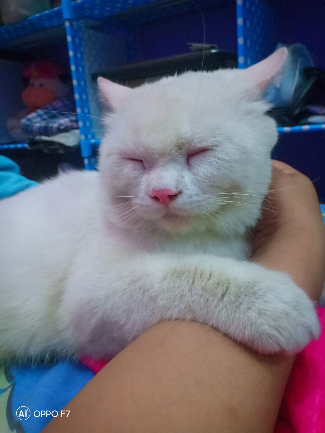 Maria Ulfa profile icon