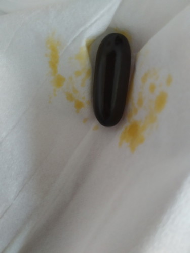 Seputar Multivitamin