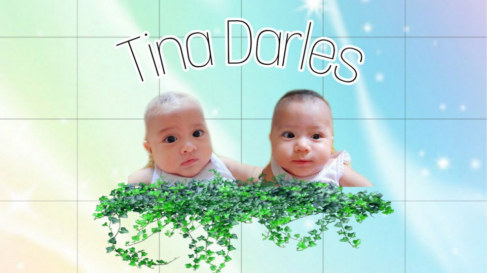 Tina Darles profile icon