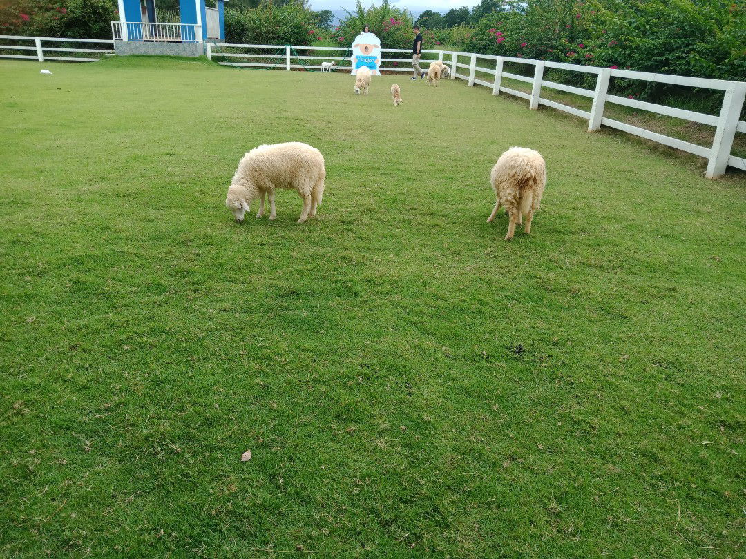 พัชรา profile icon