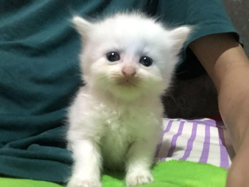 Sri Rahayu profile icon