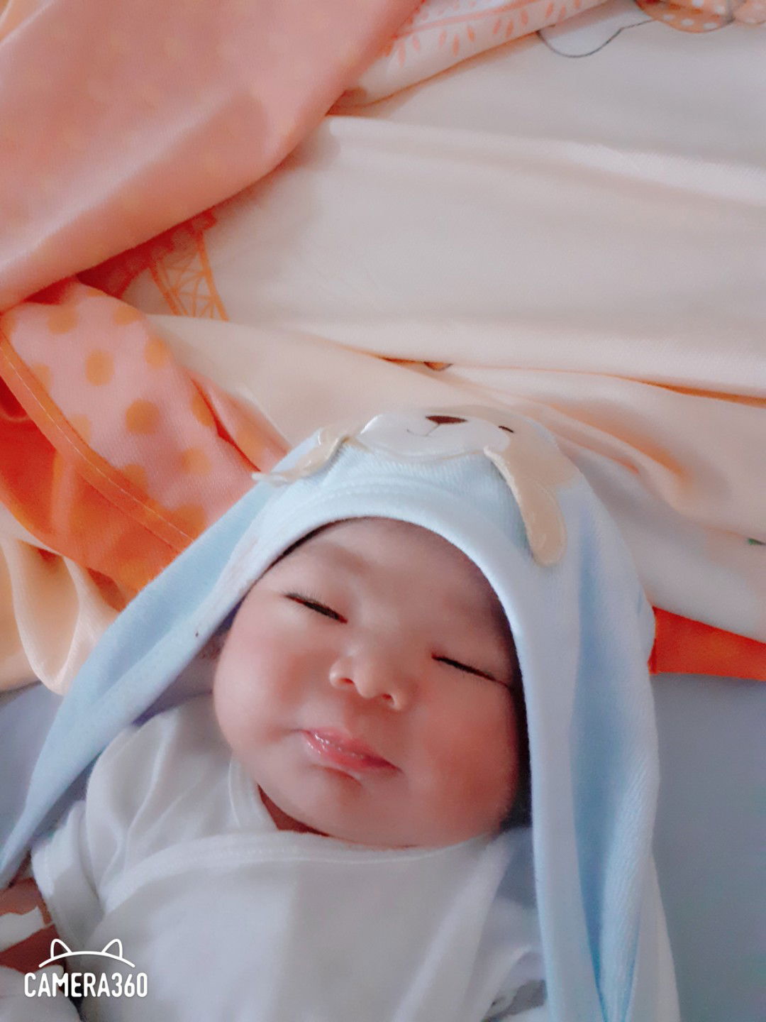 tamokmok na mukha pgkapanganak