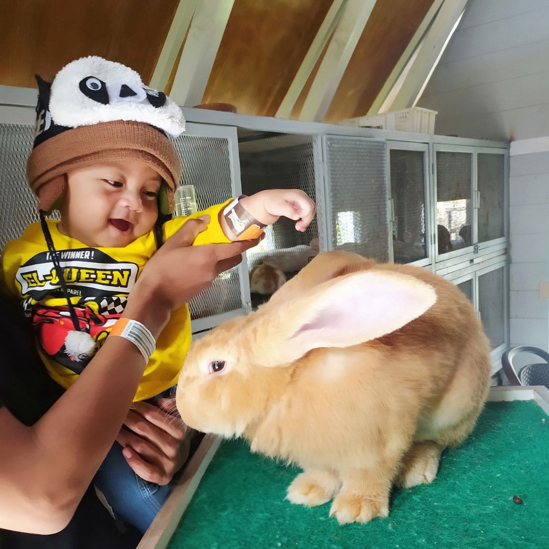 reva dyach metaviany profile icon