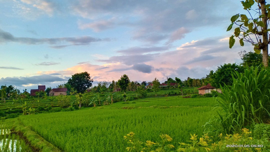 Jalan² pagi di kampung halaman