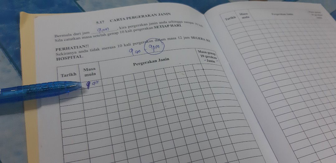 CATAT PERGERAKAN JANIN