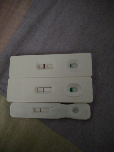 pregnant or not pregnant?