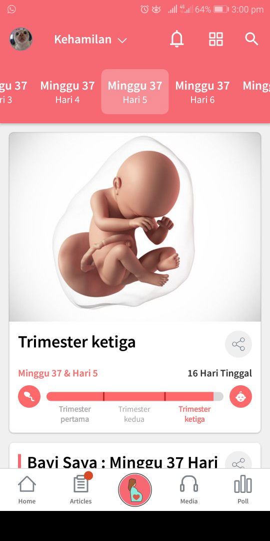 37 Minggu 5 Hari (5 Mei 2020)