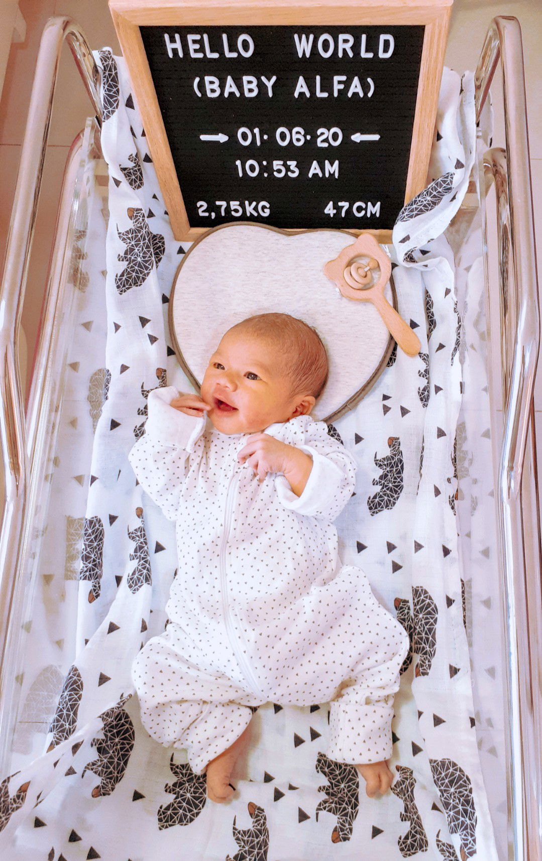 galih arum palupi profile icon