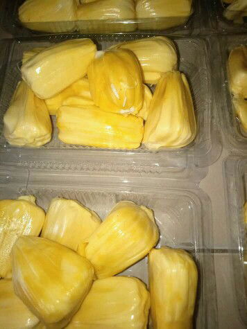 makan nangka
