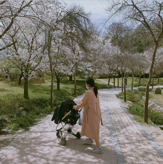 Pristy Citra profile icon