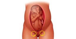 ตั้งครรภ์